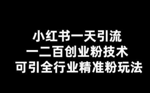 小红书一天引流一二百创业粉技术，可引全行业精准粉玩法【仅揭秘】(揭秘小红书一天引流一二百创业粉技术)