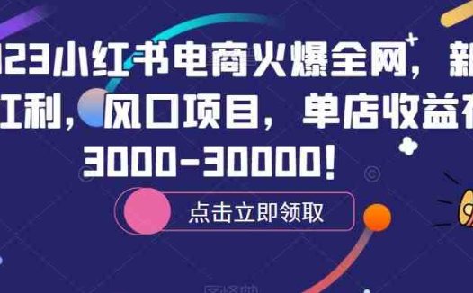 2023小红书电商火爆全网,新晋红利,风口项目,单店收益在3000-30000!(探索小红书电商新晋红利与风口项目解析)