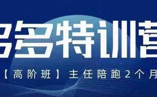 纪主任·5月最新多多特训营高阶班，玩法落地实操，多多全掌握(全面掌握拼多多运营技巧，提升店铺业绩)