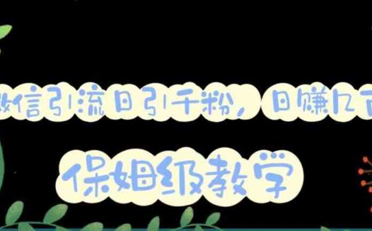 微信互推圈半自动引流方案，矩阵操作日引千人思路【详细视频教程】(微信互推圈半自动引流方案详解如何通过矩阵操作实现日引千人？)