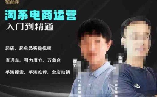 2023手淘搜索实操课+体系化课程，​起店起单品实操视频课程(全面掌握手淘搜索实操技巧，提升店铺业绩)