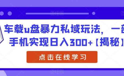 车载u盘暴力私域玩法，一部手机实现日入300+【揭秘】(揭秘车载U盘暴力私域玩法，一部手机实现日入300+)