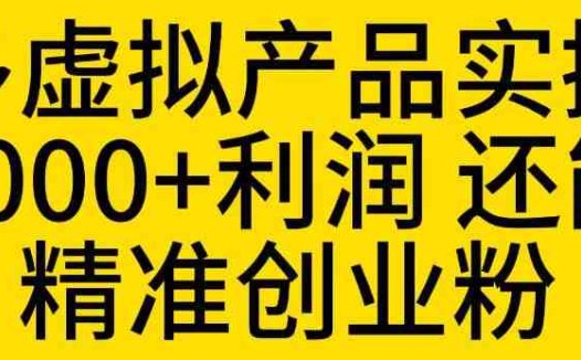 拼多多虚拟产品实操流程，月产5000+利润，还能引流精准创业粉【揭秘】(揭秘拼多多虚拟产品实操流程及其利润与引流效果)