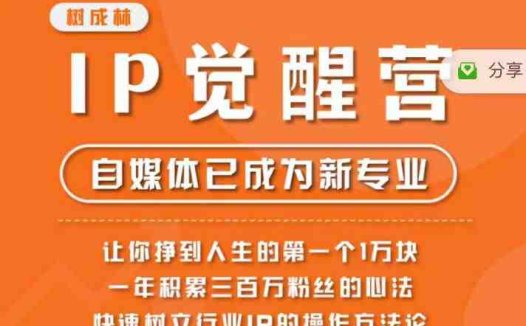 树成林·IP觉醒营,快速树立行业IP的操作方法论,让你赚到人生的第一个1万块(树成林·IP觉醒营掌握自媒体行业秘诀,实现财务自由之路)