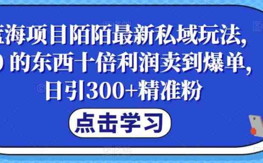蓝海项目陌陌最新私域玩法，20 的东西十倍利润卖到爆单，日引300+精准粉【揭秘】(《蓝海项目陌陌最新私域玩法》——轻松实现高利润的社交电商新模式)