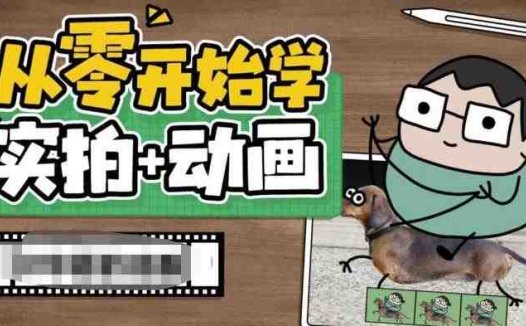 从零开始学实拍加动画，实拍加动画创意教程(全面掌握实拍加动画技术，打造生动有趣的视频作品)