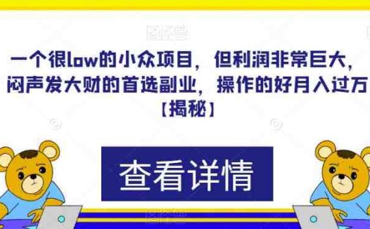 一个很low的小众项目，但利润非常巨大，闷声发大财的首选副业，操作的好月入过万【揭秘】(揭秘一个低门槛高收益的小众项目，如何轻松实现月入过万？)