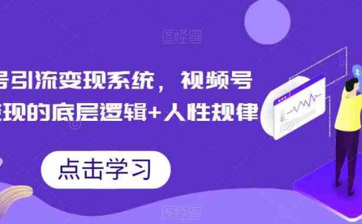 视频号引流变现系统，视频号引流变现的底层逻辑+人性规律(视频号引流变现系统掌握底层逻辑与实操技巧，助力短视频营销成功)