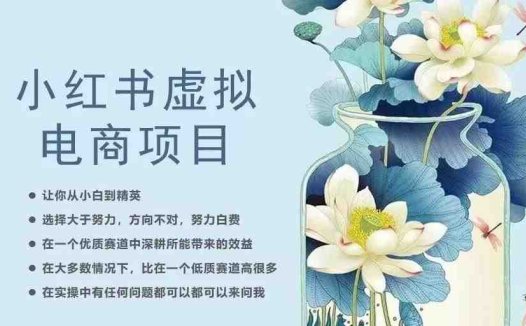 小红书虚拟电商从0到1，让你从小白到精英（20节实操课程）(小红书虚拟电商实操课程从小白到精英的成长之路)