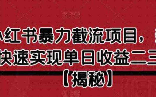 小红书暴力截流项目,新手快速实现单日收益二三百【仅揭秘】(揭秘小红书暴力截流项目新手如何快速实现单日收益二三百)