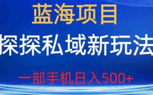 蓝海项目，探探私域新玩法，一部手机日入500+很轻松【揭秘】(揭秘探探私域新玩法轻松实现日入500+)