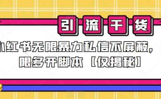 小红书无限暴力私信不屏蔽，无限多开脚本【仅揭秘】(揭秘小红书无限暴力私信不屏蔽及无限多开脚本方法)