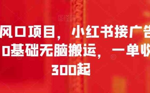 全新风口项目,小红书接广告变现,0基础无脑搬运,一单收入300起(全新风口项目小红书接广告变现,0基础无脑搬运,一单收入300起)