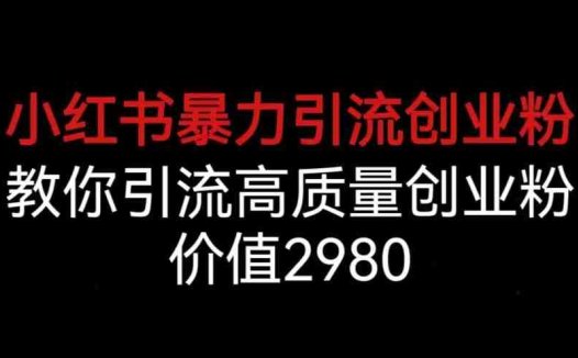 小红书暴力引流创业粉,教你引流高质量创业粉,价值2980【揭秘】(揭秘小红书暴力引流创业粉的全过程与策略)