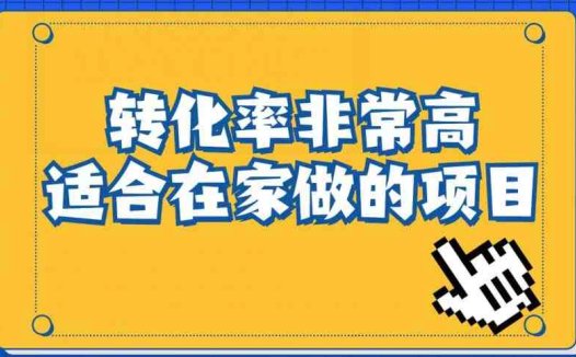 小红书虚拟电商项目：从小白到精英（视频课程+交付手册）(揭秘小红书虚拟电商低成本高利润的赚钱之道)
