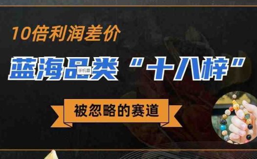 被忽略的蓝海品类“十八籽”，10倍的利润差价，同行一天几十单【揭秘】(揭秘被忽视的蓝海品类“十八籽”及其在小红书上的商机)