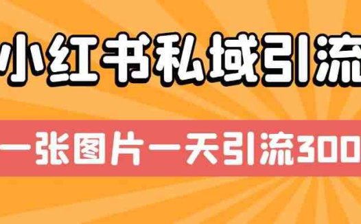 小红书私域引流，一张图片一天引流300+【揭秘】(揭秘小红书私域引流一张图片一天引流300+)