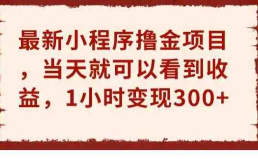 最新小程序撸金项目,当天就可以看到收益,1小时变现300+【揭秘】(揭秘最新小程序撸金项目1小时变现300+)