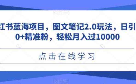 小红书蓝海项目，图文笔记2.0玩法，日引100+精准粉，轻松月入过10000【揭秘】(揭秘小红书蓝海项目图文笔记2.0玩法，日引100+精准粉，轻松月入过10000)