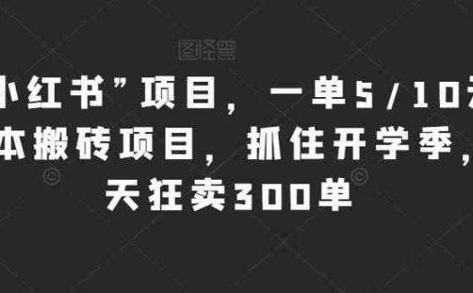 新“小红书”项目，一单5/10元，0成本搬砖项目，抓住开学季，一天狂卖300单【揭秘】(揭秘新“小红书”项目开学季稳赚不赔的搬砖机会)