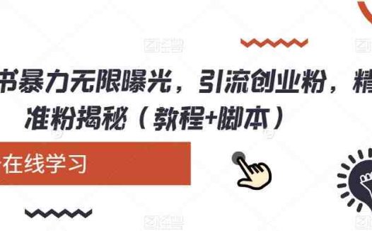 小红书暴力无限曝光，引流创业粉，精准粉揭秘（教程+脚本）(小红书暴力无限曝光教程快速引流创业粉和精准粉)