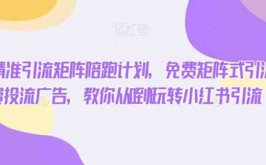 小红书精准引流矩阵陪跑计划，免费矩阵式引流，付费投流广告，教你从0到1玩转小红书引流(小红书精准引流矩阵陪跑计划从理论到实战，全面掌握小红书引流技巧)
