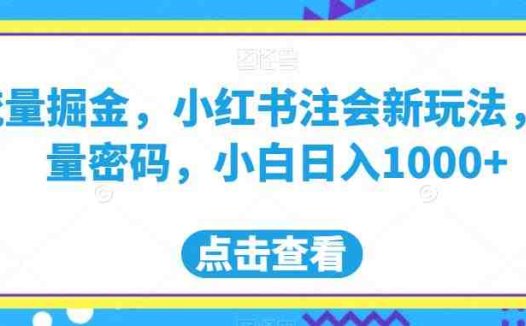 流量掘金，小红书注会新玩法，流量密码，小白日入1000+【揭秘】(揭秘小红书新玩法选择正确赛道，小白日入1000+)