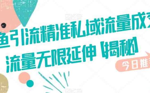 咸鱼引流精准私域流量成交流量无限延伸【揭秘】(咸鱼引流实现私域流量成交的无限可能)