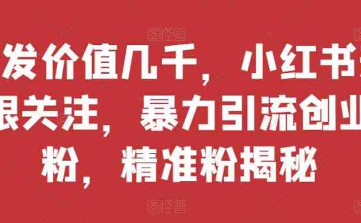首发价值几千，小红书无限关注，暴力引流创业粉，精准粉揭秘(小红书暴力引流创业粉神器——mp3457期)