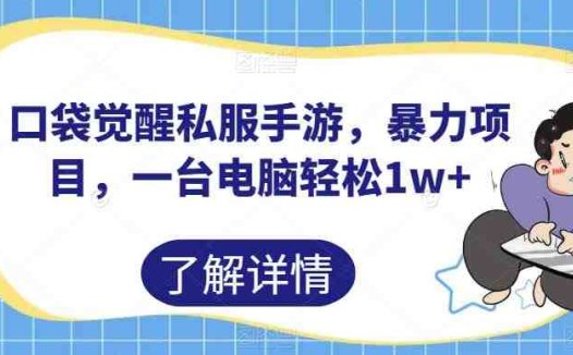 口袋觉醒私服手游，暴力项目，一台电脑轻松1w+【揭秘】(揭秘《口袋觉醒私服手游》暴力项目一台电脑轻松赚取万元收益)