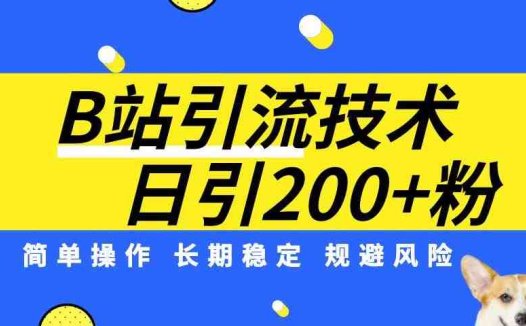 B站引流技术：每天引流200精准粉，简单操作，长期稳定，规避风险(掌握B站引流技术，轻松获取精准粉丝)