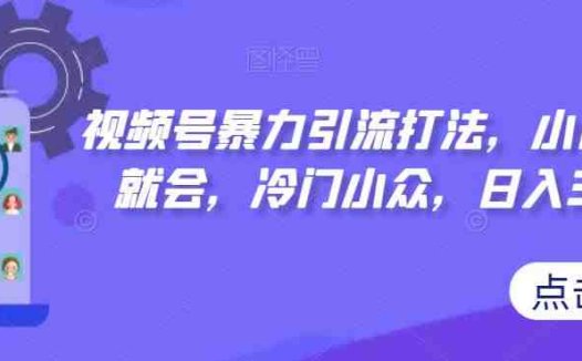 视频号暴力引流打法,小白一看就会,冷门小众,日入300+【揭秘】(视频号暴力引流打法小白也能轻松掌握的冷门小众赚钱技巧)