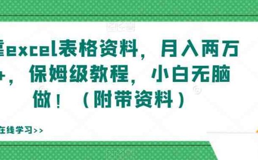 靠excel表格资料，月入两万+，保姆级教程，小白无脑做！（附带资料）【揭秘】(揭秘Excel表格虚拟资料项目，小白也能月入两万+)