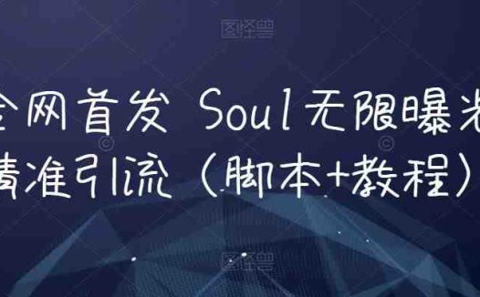 全网首发 Soul无限曝光精准引流（脚本+教程）(探索全网首发的Soul无限曝光精准引流技巧)