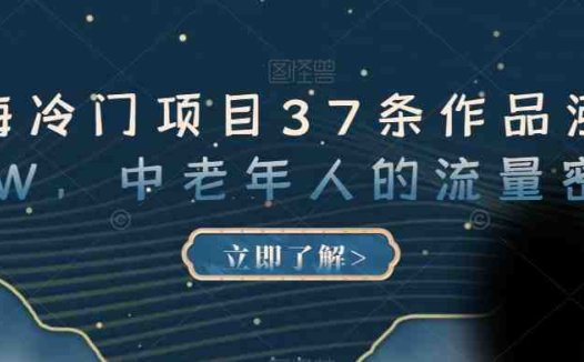 蓝海冷门项目37条作品涨粉13W，中老年人的流量密码【揭秘】(揭秘中老年人的流量密码蓝海冷门项目的短视频营销策略)