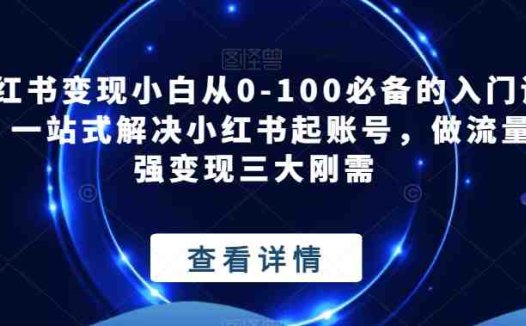 小红书变现小白从0-100必备的入门课程，一站式解决小红书起账号，做流量，强变现三大刚需(全面解析小红书变现之道从零基础到精通)