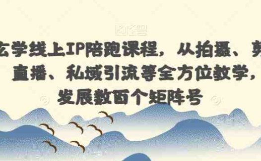 国学玄学线上IP陪跑课程,从拍摄、剪辑、运营、直播、私域引流等全方位教学,快速发展数百个矩阵号(全面掌握国学玄学线上IP陪跑课程,助力快速打造矩阵号)