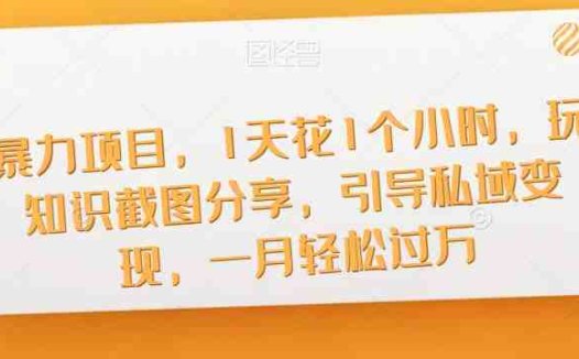暴力项目，1天花1个小时，玩知识截图分享，引导私域变现，一月轻松过万【截图】(《暴力项目》——轻松副业，一天进账1000+不是梦)
