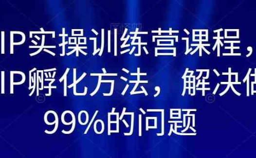 百万IP实操训练营课程，完整的IP孵化方法，解决做号99%的问题(百万IP实操训练营打造高质量账号，实现快速涨粉与变现)