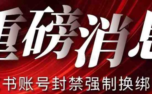 【最新】小红书账号封禁强制换绑技术可日赚300(利用小红书账号封禁强制换绑技术，日赚300的新途径)