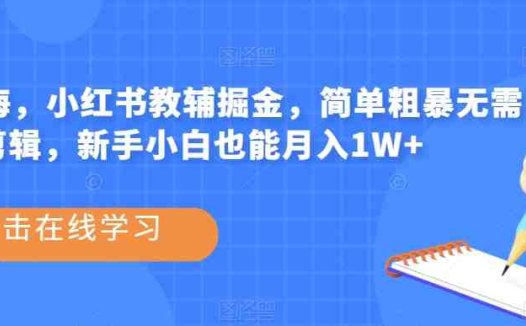 热门蓝海，小红书教辅掘金，简单粗暴无需剪辑，新手小白也能月入1W+【揭秘】(揭秘小红书教辅掘金项目简单操作，新手小白也能月入1W+)