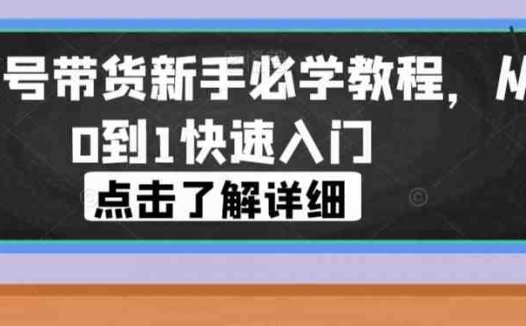 视频号带货新手必学教程，从0到1快速入门(视频号带货新手必学教程，助你从0到1快速入门)