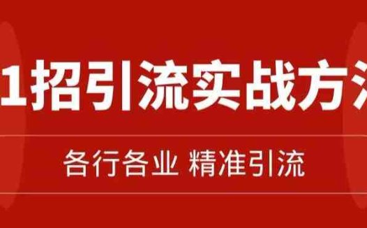 精准引流术：11招引流实战方法，让你私域流量加到爆（11节课完整)(掌握这11招精准引流术，让你的私域流量翻倍增长。)