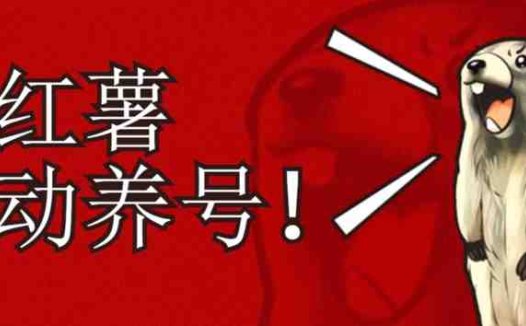 小红书养号秘籍，如何自动涨粉清晰系统标签打造高权重账号【揭秘】