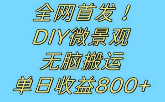 全网首发冷门赛道!DIY微景观,无脑搬运视频,日收益800+【揭秘】(“探索冷门赛道DIY微景观制作与销售的全新创业机会”)