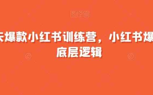 21天爆款小红书训练营，小红书爆款的底层逻辑(深度解析小红书爆款策略，助力个人品牌成长)