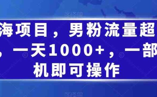 蓝海项目，男粉流量超级猛，一天1000+，一部手机即可操作【揭秘】(揭秘蓝海项目如何利用小红书吸引男性粉丝并实现月入过万)