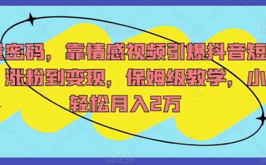 流量密码，靠情感视频引爆抖音短视频，涨粉到变现，保姆级教学，小白轻松月入2万【揭秘】(揭秘如何通过情感视频在抖音短视频上实现粉丝增长和变现)