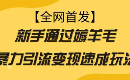 【全网首发】新手通过薅羊毛暴力引流变现速成玩法(新手通过薅羊毛暴力引流变现速成玩法)