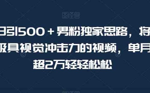 暴力日引500＋男粉独家思路，将美女做成极具视觉冲击力的视频，单月盈利超2万轻轻松松